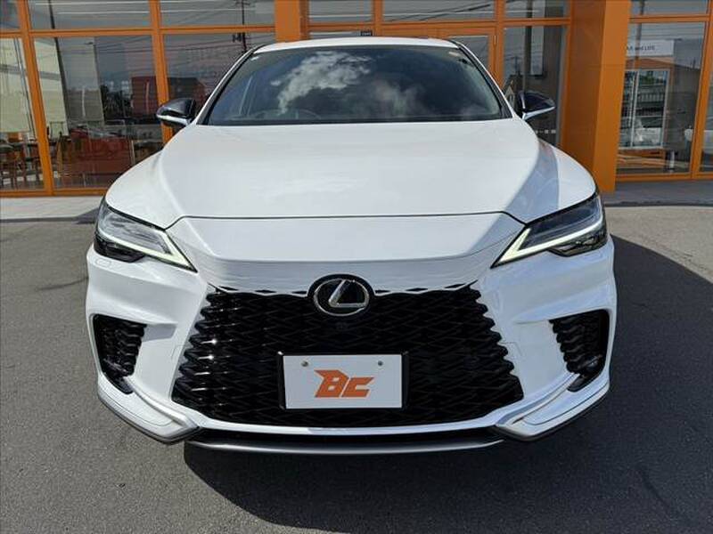 2024 LEXUS RX for sale - photo 10