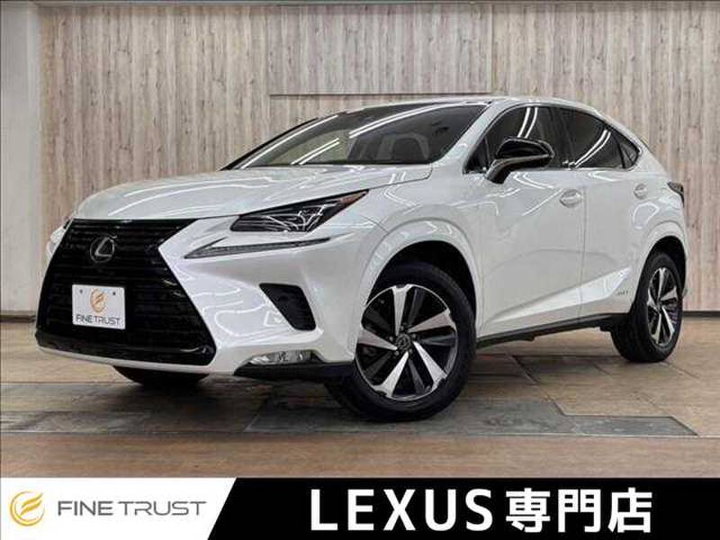 2019 LEXUS NX for sale