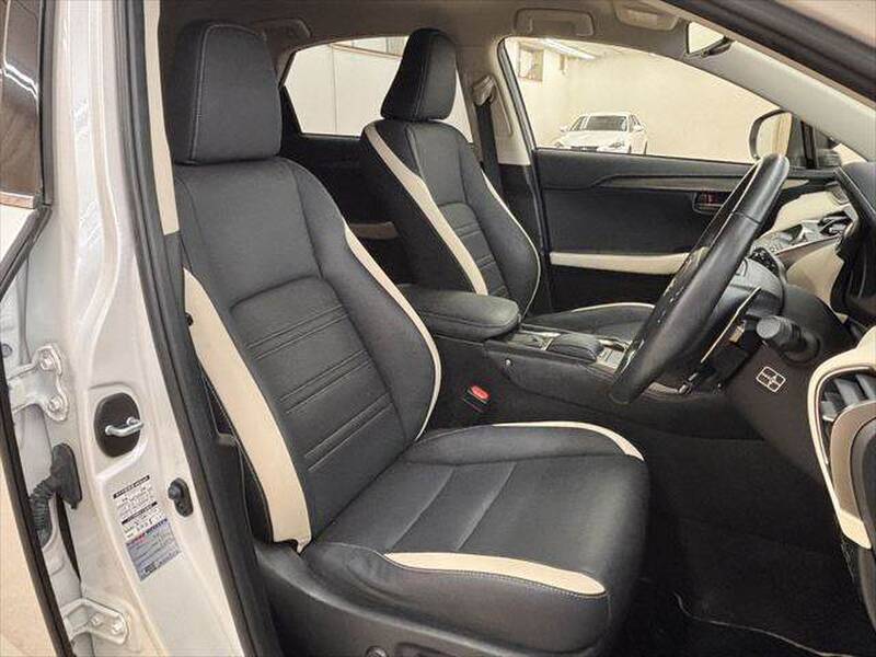 2019 LEXUS NX for sale - more photos