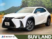 2021 LEXUS UX