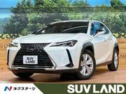 2019 LEXUS UX