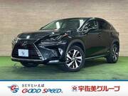 2020 LEXUS NX