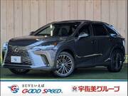 2024 LEXUS RX