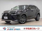 2019 LEXUS NX