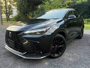 2025 LEXUS NX