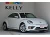 VOLKSWAGEN THE BEETLE