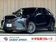 2024 LEXUS RX