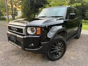 2024 TOYOTA LANDCRUISER 250
