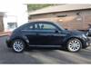 VOLKSWAGEN THE BEETLE
