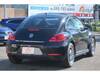 VOLKSWAGEN THE BEETLE