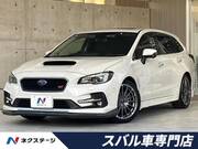 2019 SUBARU LEVORG
