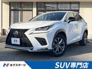 2019 LEXUS NX