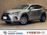 2018 LEXUS NX