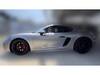 PORSCHE OTHER