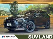 2025 LEXUS NX