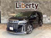 2019 TOYOTA ALPHARD