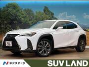 2019 LEXUS UX