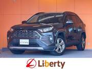 2019 TOYOTA RAV4 G