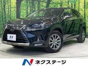2019 LEXUS NX