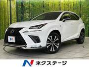 2019 LEXUS NX