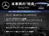 MERCEDES BENZ OTHER