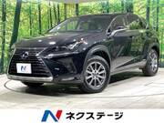 2019 LEXUS NX