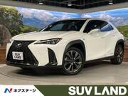 2021 LEXUS UX