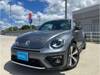 VOLKSWAGEN THE BEETLE