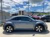 VOLKSWAGEN THE BEETLE