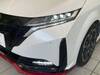 NISSAN OTHER