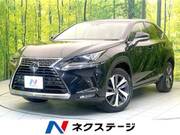 2017 LEXUS NX