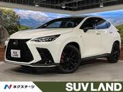2024 LEXUS NX
