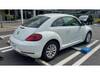 VOLKSWAGEN THE BEETLE