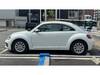 VOLKSWAGEN THE BEETLE
