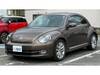 VOLKSWAGEN THE BEETLE