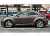 VOLKSWAGEN THE BEETLE