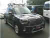 OTHER MINI