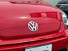 VOLKSWAGEN THE BEETLE