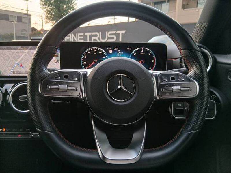 2019 MERCEDES BENZ A-CLASS for sale - photo 11
