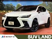 2025 LEXUS NX