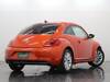 VOLKSWAGEN THE BEETLE