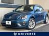 VOLKSWAGEN THE BEETLE