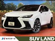 2025 LEXUS NX