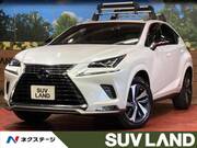2021 LEXUS NX