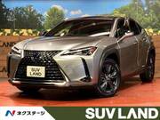 2021 LEXUS UX