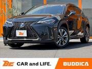 2019 LEXUS UX