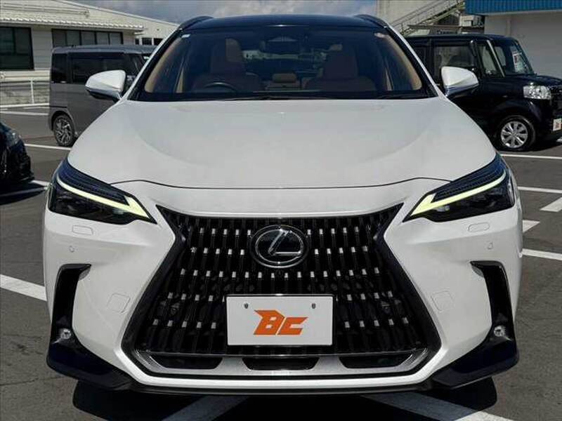 2023 LEXUS NX for sale - photo 10
