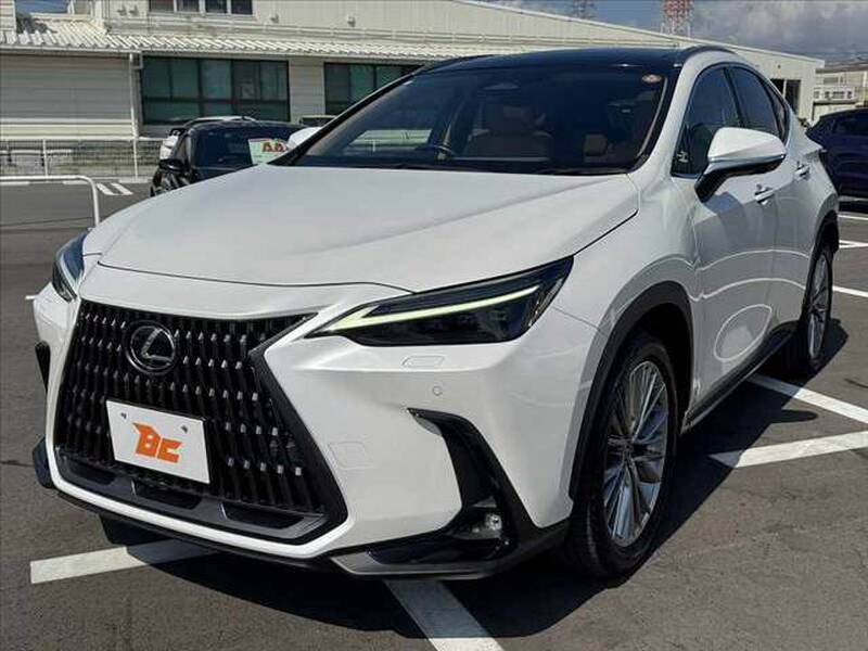 2023 LEXUS NX for sale - photo 11