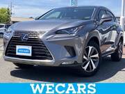 2019 LEXUS NX