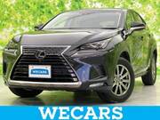 2018 LEXUS NX